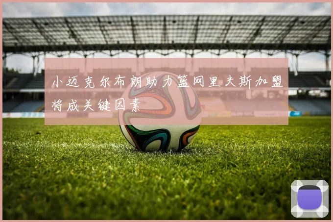 小迈克尔布朗助力篮网里夫斯加盟将成关键因素